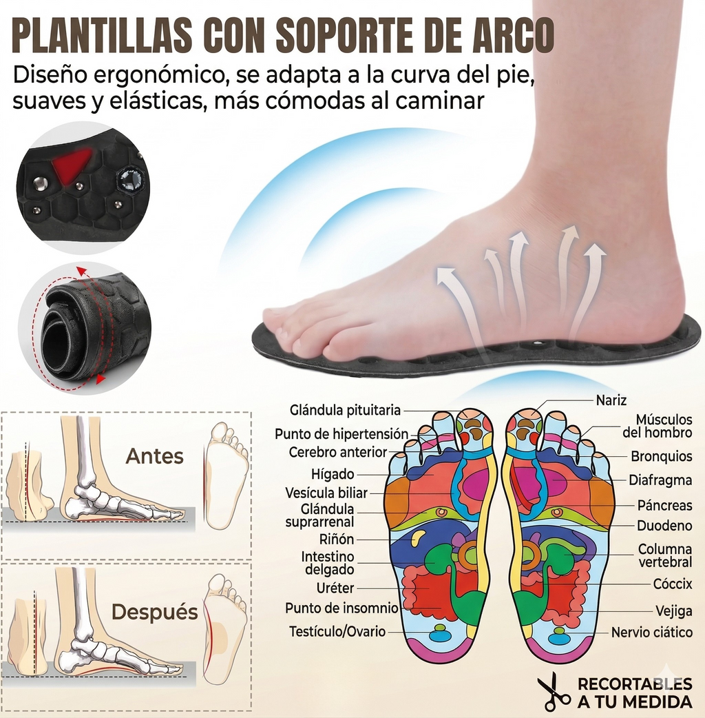 Plantillas de Magnetoterapia y Acupresión